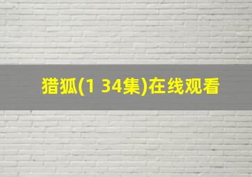 猎狐(1 34集)在线观看